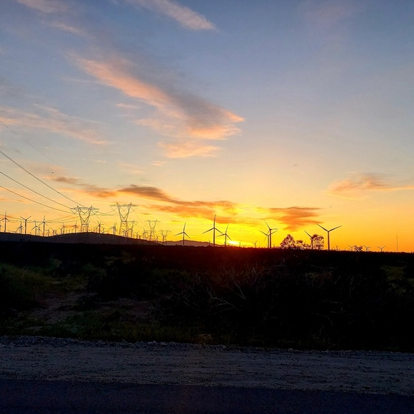 About Me 🌴🌵🌞✌🙏💜 - Picture 5 of 8